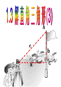 2015年春九年级数学下册 1.3 解直角三角形课件3 (新版)浙教版