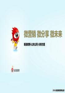 2011_新浪微博营销公关公司分享案