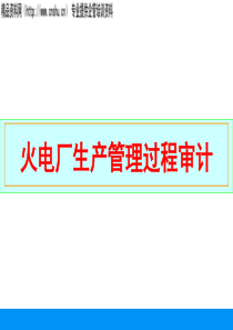 电力企业生产过程及工程审计-火电厂生产管理过程审计(PPT63页)