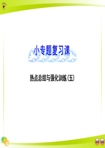 高中全程复习方略配套课件：小专题复习课  热点总结与强化训练(五)