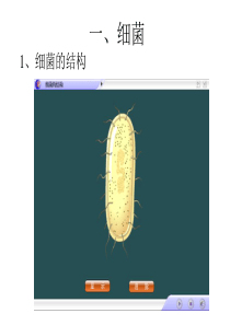 高一生物微生物放线菌和病毒课件