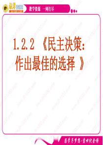 政治：122 《民主决策：作出最佳的选择 》课件(新人教必修2)