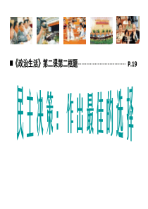 政治：122《民主决策：作出最佳选择》23课件(新人教版必修2)