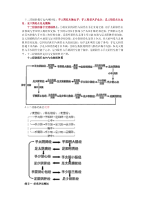 十二经脉的循行走向规律是