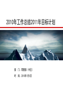 10年度总结与11年度计划(中区)