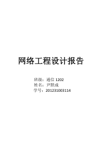 网络工程设计实验报告