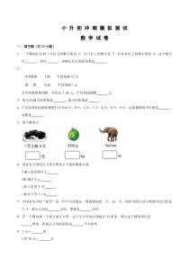 人教版小升初数学模拟卷及答案解析