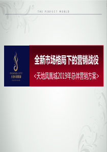 全新市场格局下的营销战役-廊坊天地凤凰城2019年总体营销方案