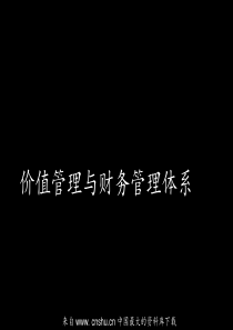 价值管理与财务管理体系(ppt 83)