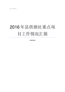 2016年县供销社重点项目工作情况汇报