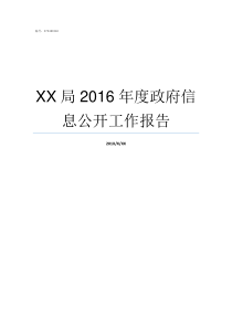 XX局2016年度政府信息公开工作报告XX政X成语