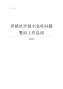 供销社开展小金库问题整治工作总结供销社个人工作总结