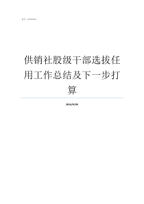 供销社股级干部选拔任用工作总结及下一步打算股级干部选拔规定