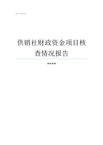 供销社财政资金项目核查情况报告供销社