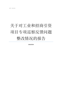 关于对工业和招商引资项目专项巡察反馈问题整改情况的报告