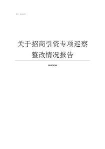 关于招商引资专项巡察整改情况报告专项巡察作为巡察