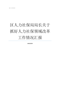 区人力社保局局长关于抓好人力社保领域改革工作情况汇报人力社保局