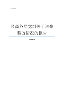 区商务局党组关于巡察整改情况的报告对商务局的巡察报告