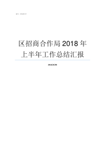 区招商合作局2018年上半年工作总结汇报中非合作论坛2018