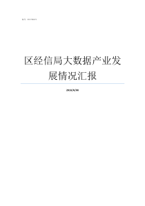 区经信局大数据产业发展情况汇报