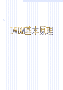 DWDM原理精华版