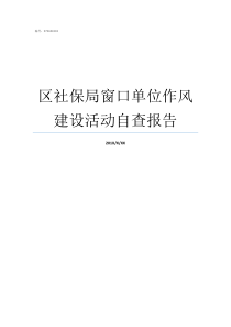 区社保局窗口单位作风建设活动自查报告社保局是什么单位