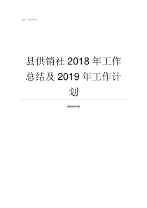 县供销社2018年工作总结及2019年工作计划