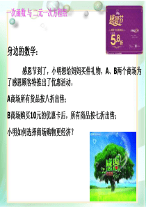 19.2.3 一次函数与二元一次方程组