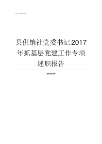 县供销社党委书记2017年抓基层党建工作专项述职报告