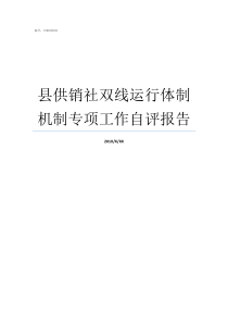 县供销社双线运行体制机制专项工作自评报告