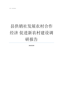 县供销社发展农村合作经济nbsp促进新农村建设调研报告