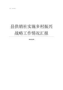 县供销社实施乡村振兴战略工作情况汇报