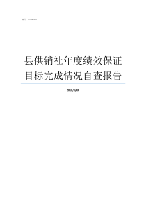 县供销社年度绩效保证目标完成情况自查报告年度绩效考核