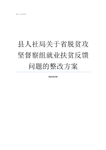 县人社局关于省脱贫攻坚督察组就业扶贫反馈问题的整改方案人社局承担的脱贫攻坚职责