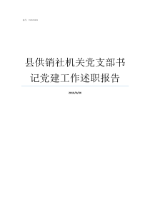 县供销社机关党支部书记党建工作述职报告县供销社干什么的