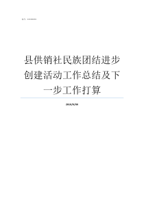 县供销社民族团结进步创建活动工作总结及下一步工作打算民族团结进步示范县