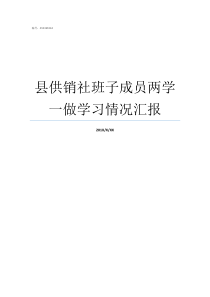 县供销社班子成员两学一做学习情况汇报供销社领导班子分工