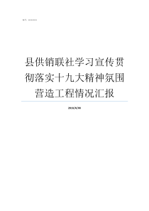 县供销联社学习宣传贯彻落实十九大精神氛围营造工程情况汇报