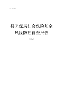 县医保局社会保险基金风险防控自查报告县医保局