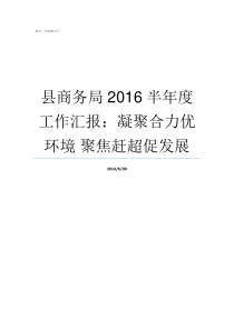 县商务局2016半年度工作汇报凝聚合力优环境nbsp聚焦赶超促发展县商务局是干嘛的