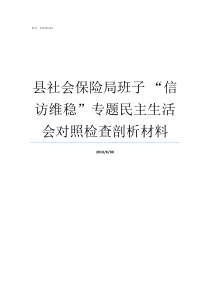 县社会保险局班子nbsp信访维稳专题民主生活会对照检查剖析材料社会保险事业局