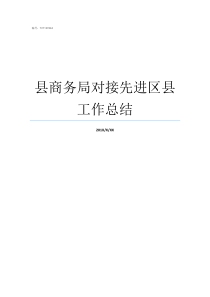 县商务局对接先进区县工作总结商务局