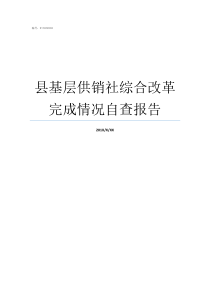 县基层供销社综合改革完成情况自查报告供销社改革