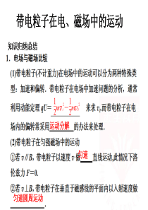 2012届高考物理二轮专题复习 带电粒子在电、磁场中的运动课件