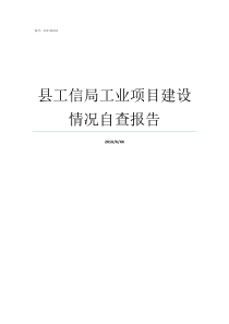 县工信局工业项目建设情况自查报告