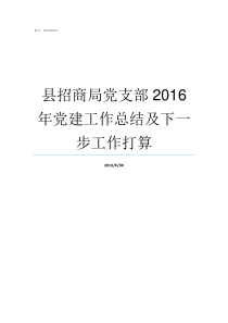 县招商局党支部2016年党建工作总结及下一步工作打算