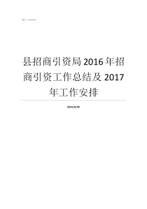 县招商引资局2016年招商引资工作总结及2017年工作安排个人招商引资工作总结