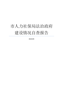 市人力社保局法治政府建设情况自查报告法治专题报告工作情况专题报告