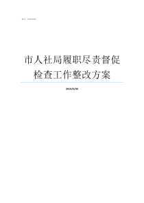 市人社局履职尽责督促检查工作整改方案