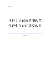 县粮食局在放管服改革督查中存在问题整改报告督查局存在问题